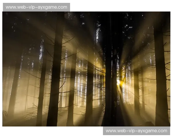 安德雷vs范霍文:光影间的史诗对决,重塑科幻想象 安德雷vs范霍文:光影间的史诗对决,重塑科幻想象